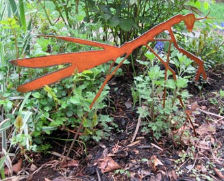 Praying Mantis