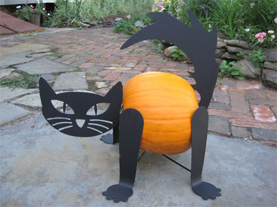 Turn Your Pumpkin into a Cat