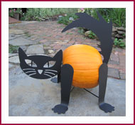 Turn your Pumpkin into a Cat