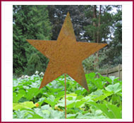 Star Garden Stake