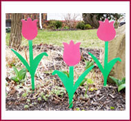 Tulips